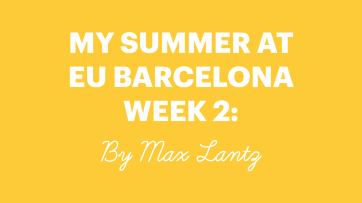 EU International Summer School 2017 - Week 2