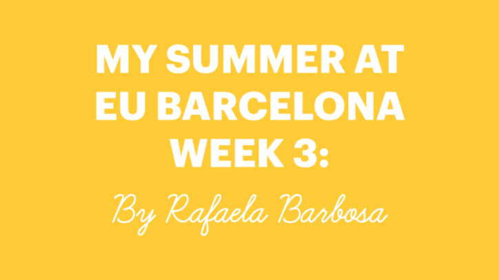 EU International Summer School 2017 - Week 3